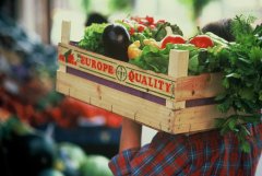 Seguridad de los alimentos europeos
